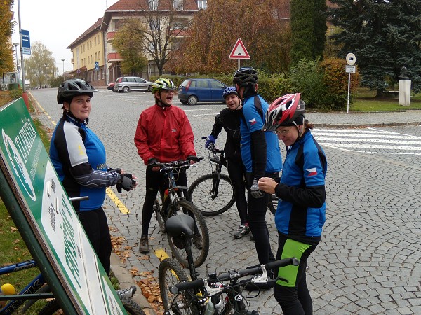 Zvren 2008