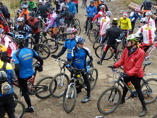 Zvren 2008