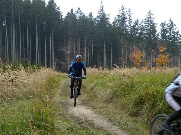 Zvren 2008