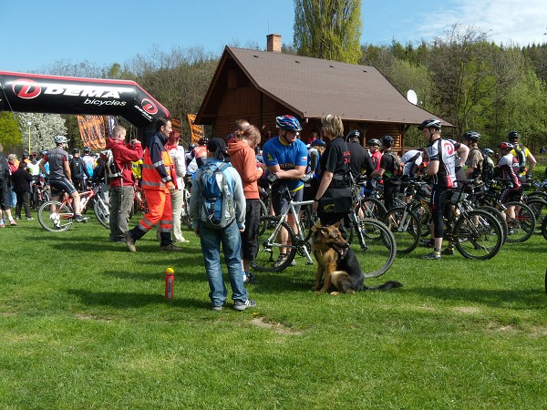 Chibsk 50