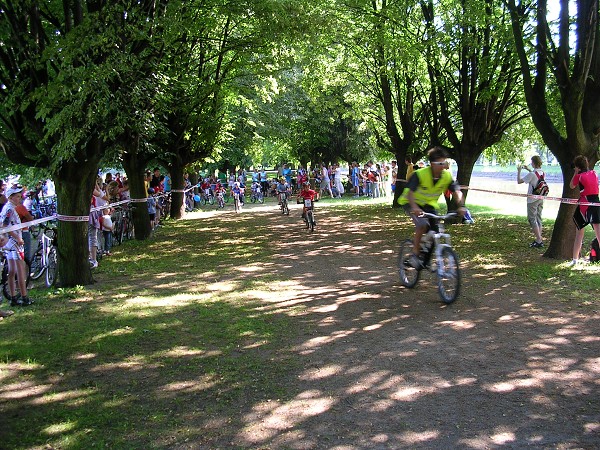 Drsal 2009