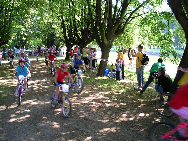 Drsal 2009
