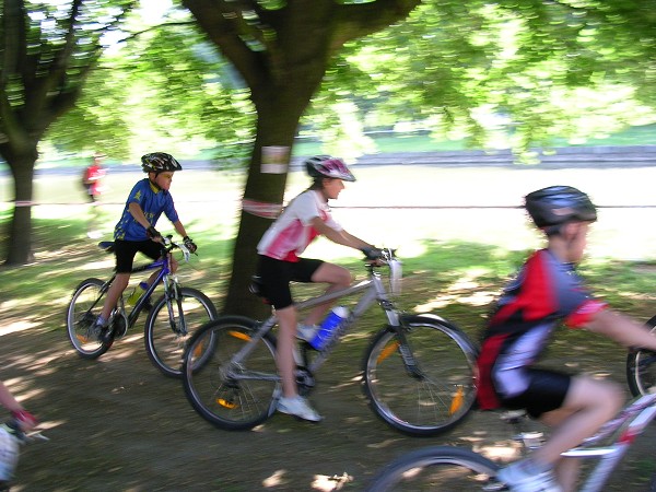 Drsal 2009