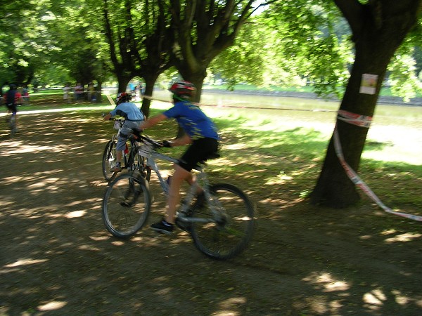 Drsal 2009