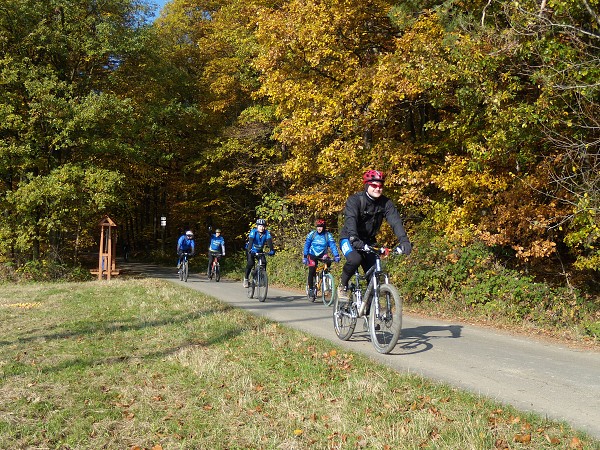 Zvren 2009
