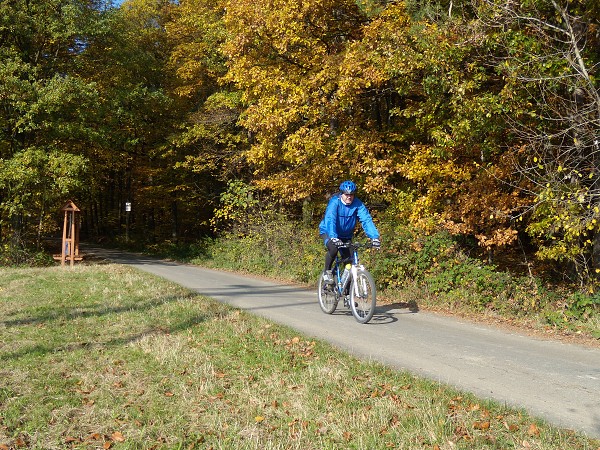 Zvren 2009