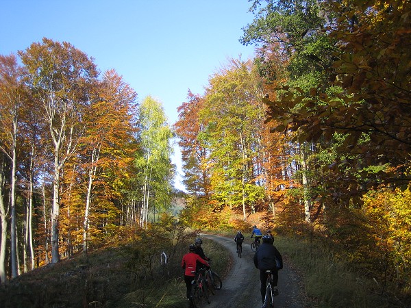 Zvren 2009