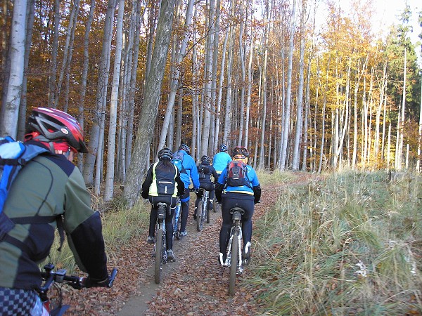 Zvren 2009