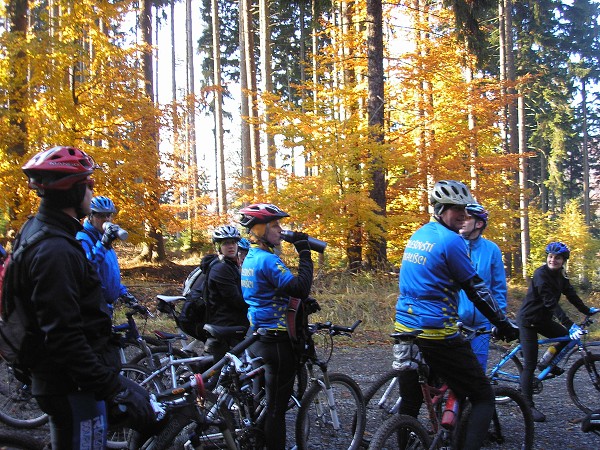 Zvren 2009