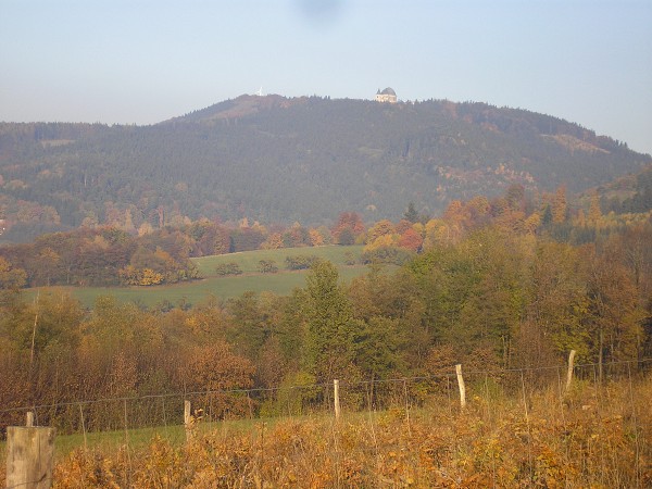 Zvren 2009