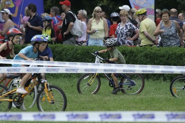 Drslal 2010
