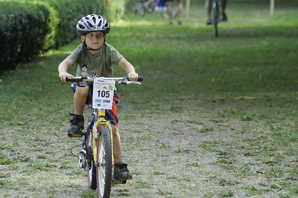 Drslal 2010