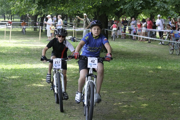 Drslal 2010