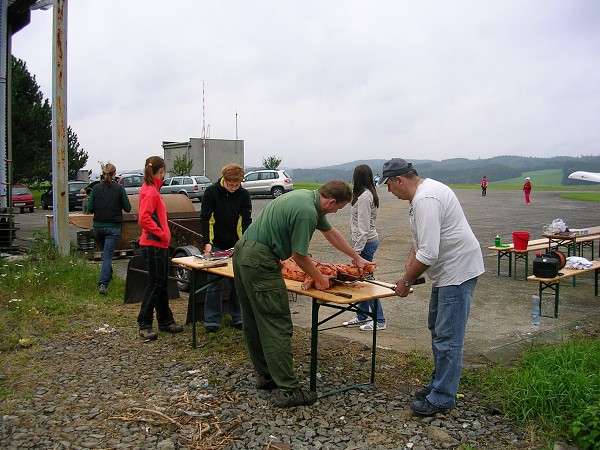 Létající sele 2010