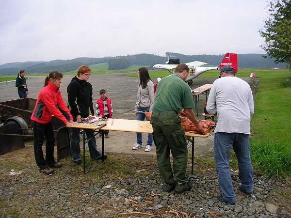 Létající sele 2010