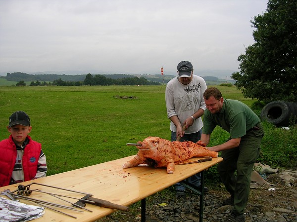 Létající sele 2010