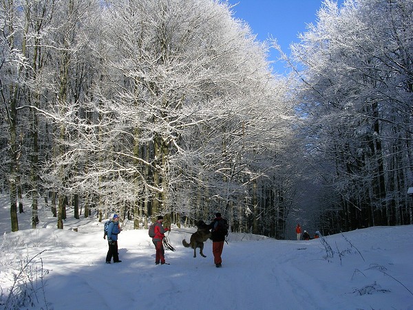 Předsilvestrovská vycházka