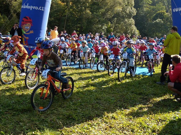 Odry 2011
