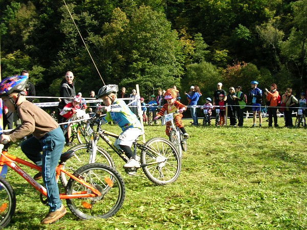 Odry 2011