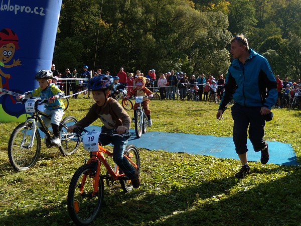 Odry 2011