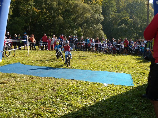 Odry 2011