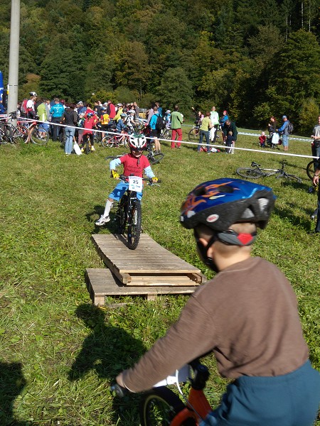 Odry 2011