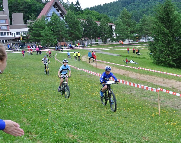 Všemina