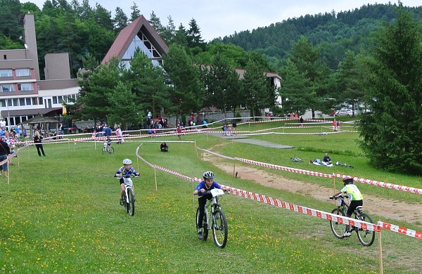Všemina