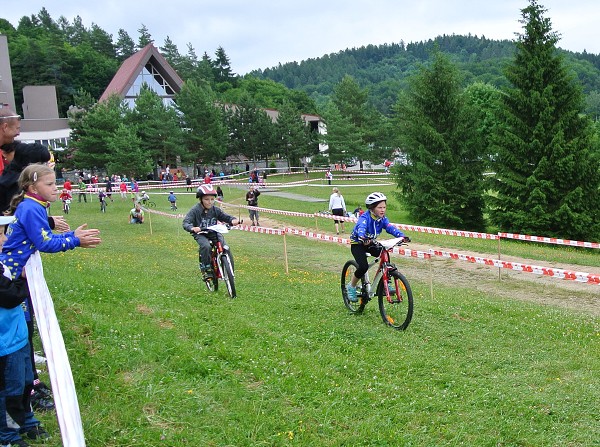 Všemina